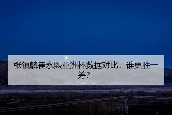 张镇麟崔永熙亚洲杯数据对比：谁更胜一筹？